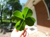 Як привернути удачу на цілий день