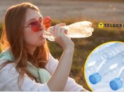 Девушка пьет из пластиковой бутылки.