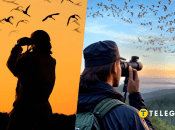 Орнитологи