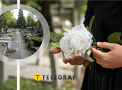 Квіти, які українці несуть на могили близьких — символ пам'яті та любові