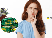 Цукерки "Ромашка"