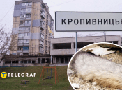 Коллаж "Телеграфа"