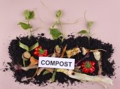 Компостная куча