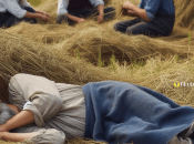 Разобрались, какие фамилии в древности в Украине давали лентяям