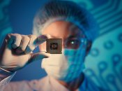 Чип в руках