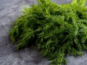 Як швидко посадити кріп