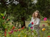 Ваш участок будет гармоничным и стильным