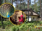 Райський куточок під Києвом