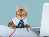 Каким знакам Зодиака нужно быть бдительными в конце августа 2022 года