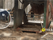 Последствия атаки на экопарк под Харьковом