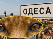 Животное вело себя спокойно