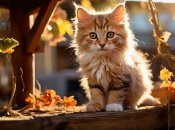 В Україні стоять сонячні дні