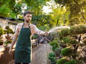 Рослини потребують регулярного поливу