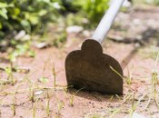 Сорняки нужно убирать всегда