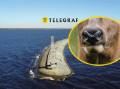 Киевское водохранилище