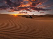 "Олешківські піски"