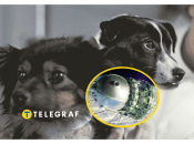 Иллюстративное фото