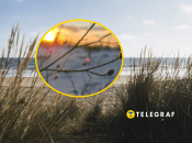 На Одещині цвіте рідкісна рослина