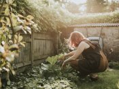 Иллюстративное изображение