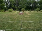 Могила Иваны Трамп в Нью-Джерси