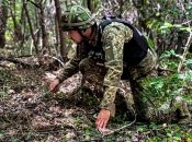 Разминирование территории