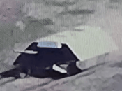 "Сараїв" стає все більше