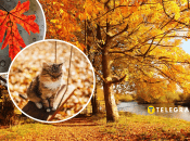 Погода осенью