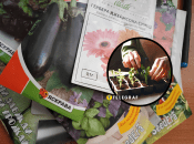 Скільки може зберігатися насіння до посадки