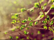 Погода в Украине