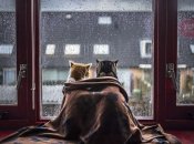 Теплее не станет