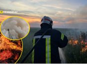 В Одесской области снова тушат пожары