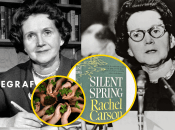 Рейчел Карсон – история женщины, спасшей природу