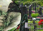 Бур'ян на кладовищі