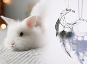 Сильные обереги по знаку Зодиака на 2023 год