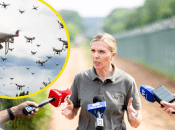 Агне Билотайте