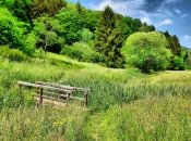 Тепло, но с сюрпризами: синоптик рассказал, какой будет погода в Украине в апреле