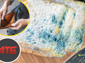 Іноді доставка продуктів може обернутися неприємностями