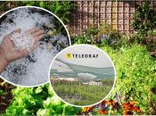 Как защитить овощи от града