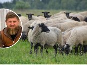 Сын Рамзана Кадырова