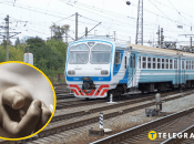 Трагедія на коліях кільцевої електрички