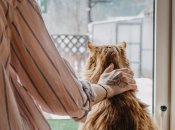 Погода устроила Украине настоящую репетицию зимы