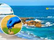 Какое качество воды на побережье Одессы