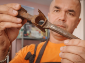 У росії знайшли старовинну зброю