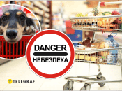 Опасные продукты со стола для собак и кошек