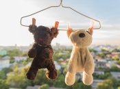 Как без проблем выстирать мягкие игрушки