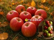 Мочені яблука зберігатимуться довго