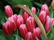 Картинки с юбилеем сестре