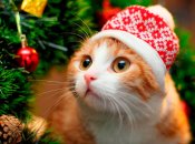 Удача будет преследовать трех знаков Зодиака