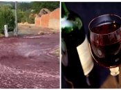 "Постраждалих немає, задоволені є": річка із справжнього вина в Португалії вразила мережу (відео)