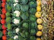 В Украине цена на капусту снизилась за неделю до 20%